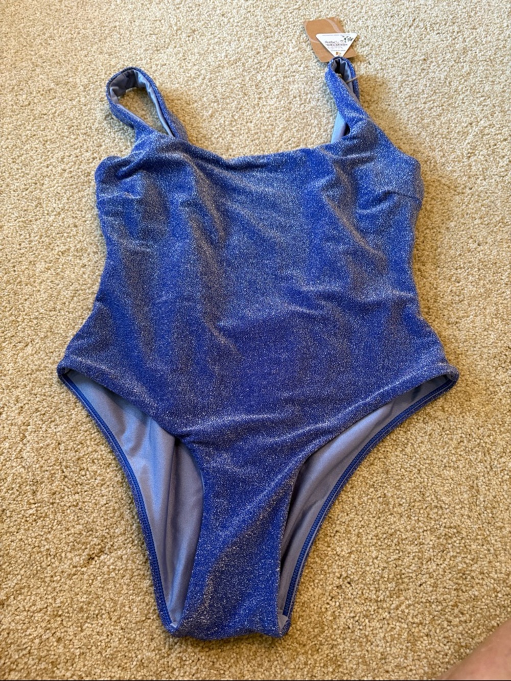 Sparkling Royal Blue One-Piece Swimsuit